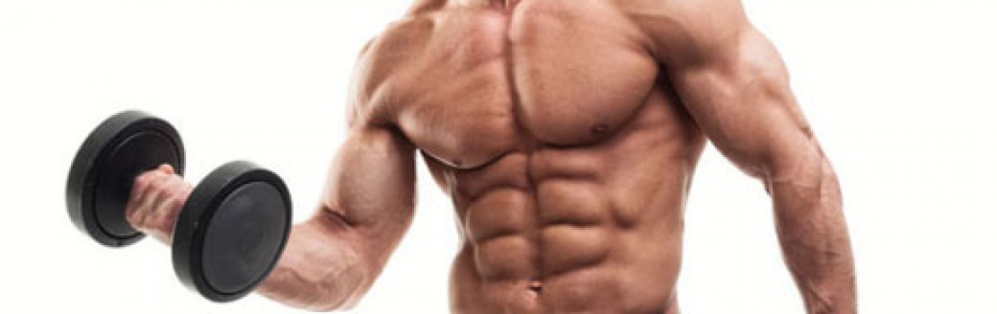 عضله‌ سازی برای مردان لاغر اندام
