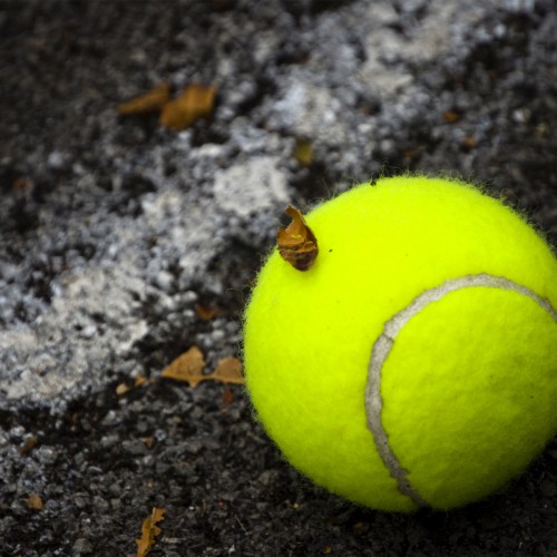 ورزش تنیس و هشت تاثیر آن در زندگی شما